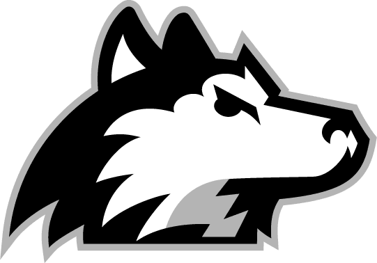 Northern Illinois Huskies 2001-Pres Alternate Logo v7 DIY iron on transfer (heat transfer)